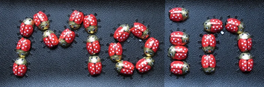 Schokokäfer.webp Schokokäfer.webp