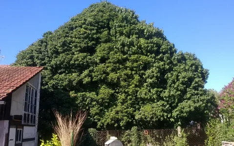 2017-04-09 16.36.02.webp