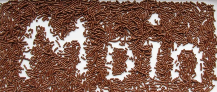 Schokostreusel.webp