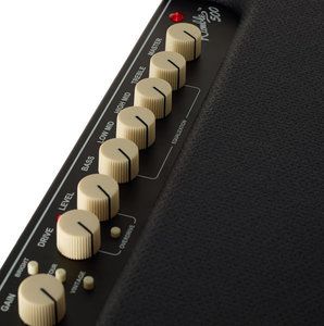 Fender500_poti_detail.jpg