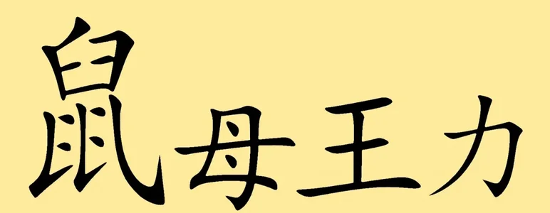 Schriftzeichen (chines.).webp