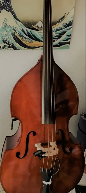 kontrabass geba.webp kontrabass geba.webp