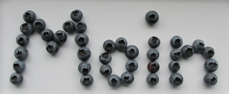 Blaubeeren.webp