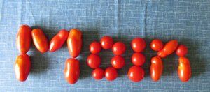 Tomaten.JPG