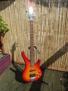 CIMG0210.JPG CIMG0210.JPG