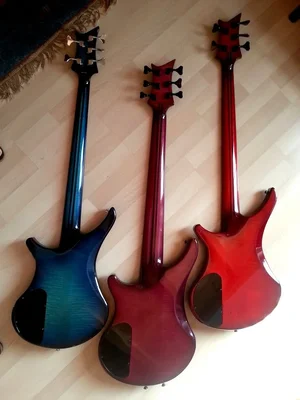 Vigier Family Back.webp