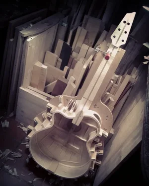 IMG_20171019_132527_304.webp IMG_20171019_132527_304.webp