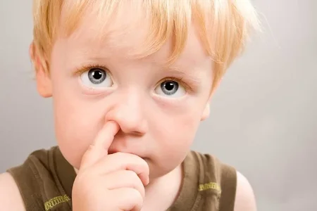 image.webp image.webp