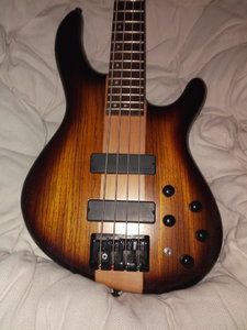 cort_front.jpg cort_front.jpg