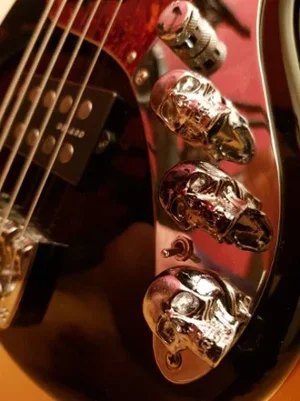 pimp1.webp pimp1.webp