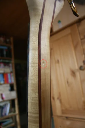 IMG_3538 Dong markiert.webp