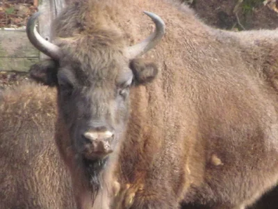 silz_wild_wanderpark 010.webp