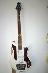 ibanez tortoise.jpg