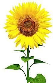 images6GB9CVDZ.jpg images6GB9CVDZ.jpg