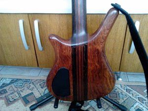 warwick-thumb-98-god-slika-32791426.jpg