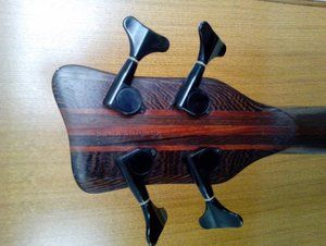 warwick-thumb-98-god-slika-32791427.jpg