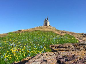 Hoschi.jpg Hoschi.jpg