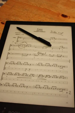 ins pdf geschrieben.webp