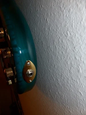 P1020033 (Medium).webp