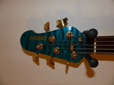 P1020035 (Medium).webp