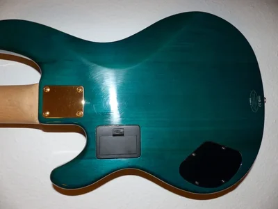 P1020038 (Medium).webp