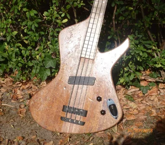 OL opus 49 first shots -2.webp