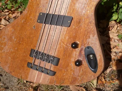 OL opus 49 first shots -3.webp