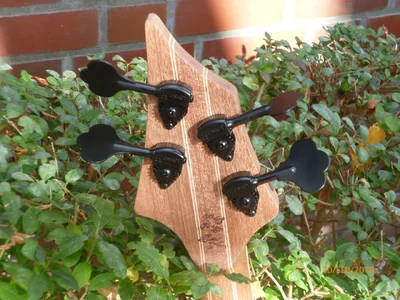 OL opus 49 first shots -5.webp