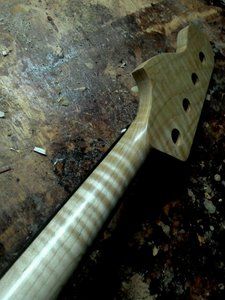 neck_resized1.jpg neck_resized1.jpg