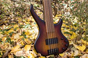 BassLine_Buster_CW_5_fretless_walnut_01.jpg