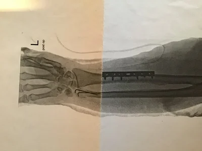 4348DC46-A0F8-488C-9234-17246FBADDF6.webp 4348DC46-A0F8-488C-9234-17246FBADDF6.webp