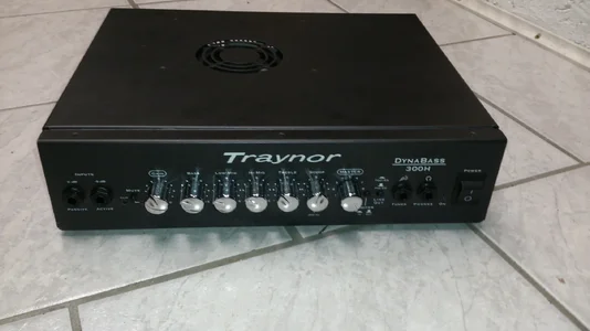 Traynor DB 300H klein 1.webp