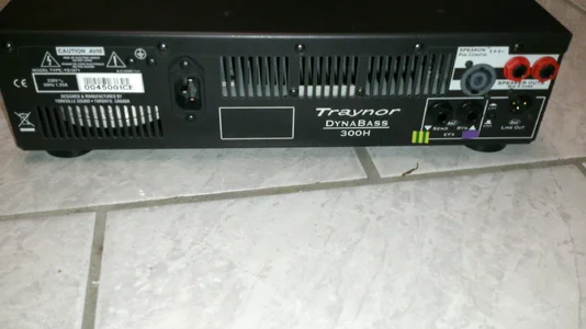 Traynor DB 300H klein 2.webp