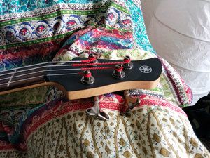 IMG_20141231_122241.jpg IMG_20141231_122241.jpg