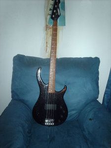 G Bass (1).jpg