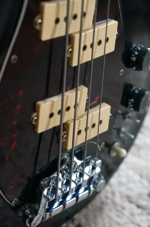 DSC04427 (Large).webp