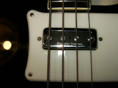 freie polpieces 001.webp