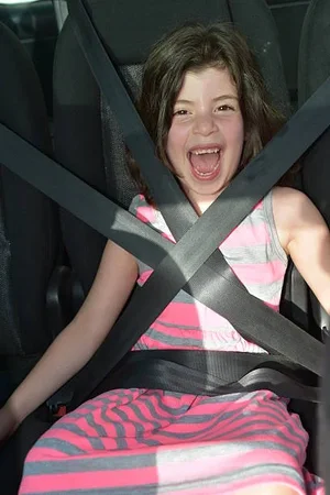 Gurt Sicherheit.webp