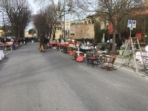 upload_2019-2-24_13-46-3.jpeg