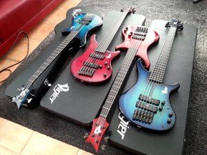 NEW Vigier Family Jan 2018.jpg