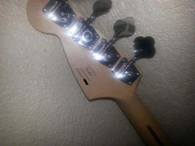 Mustang_193409.webp Mustang_193409.webp