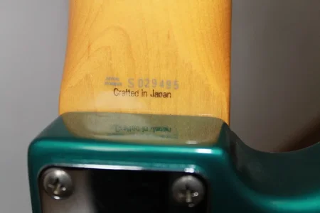 IMG_1038 (1000x667).webp