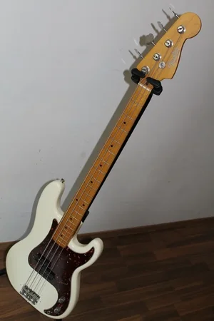 IMG_1046 (667x1000).webp