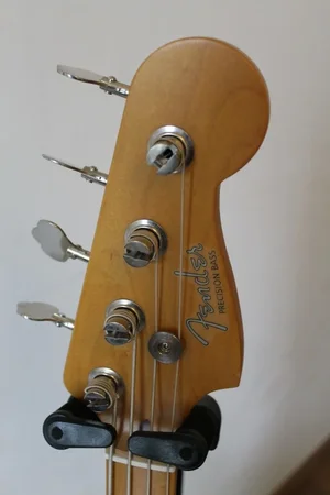 IMG_1049 (667x1000).webp