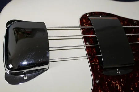 IMG_1054 (1000x667).webp