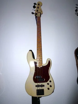 hoyer tortoise 1.webp