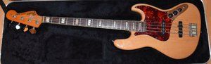 Fender_01.JPG Fender_01.JPG