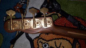 Schecter Hals Back.jpg