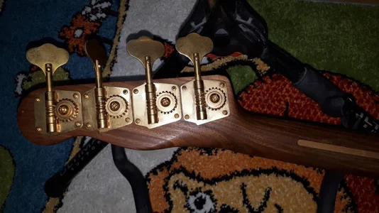 Schecter Hals Back.webp