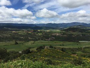 IMG_0577.jpg IMG_0577.jpg